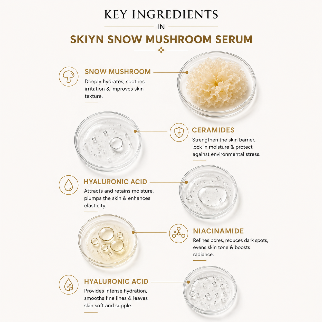 SKIYN Snow Mushroom Hydrating Serum with Ceramides