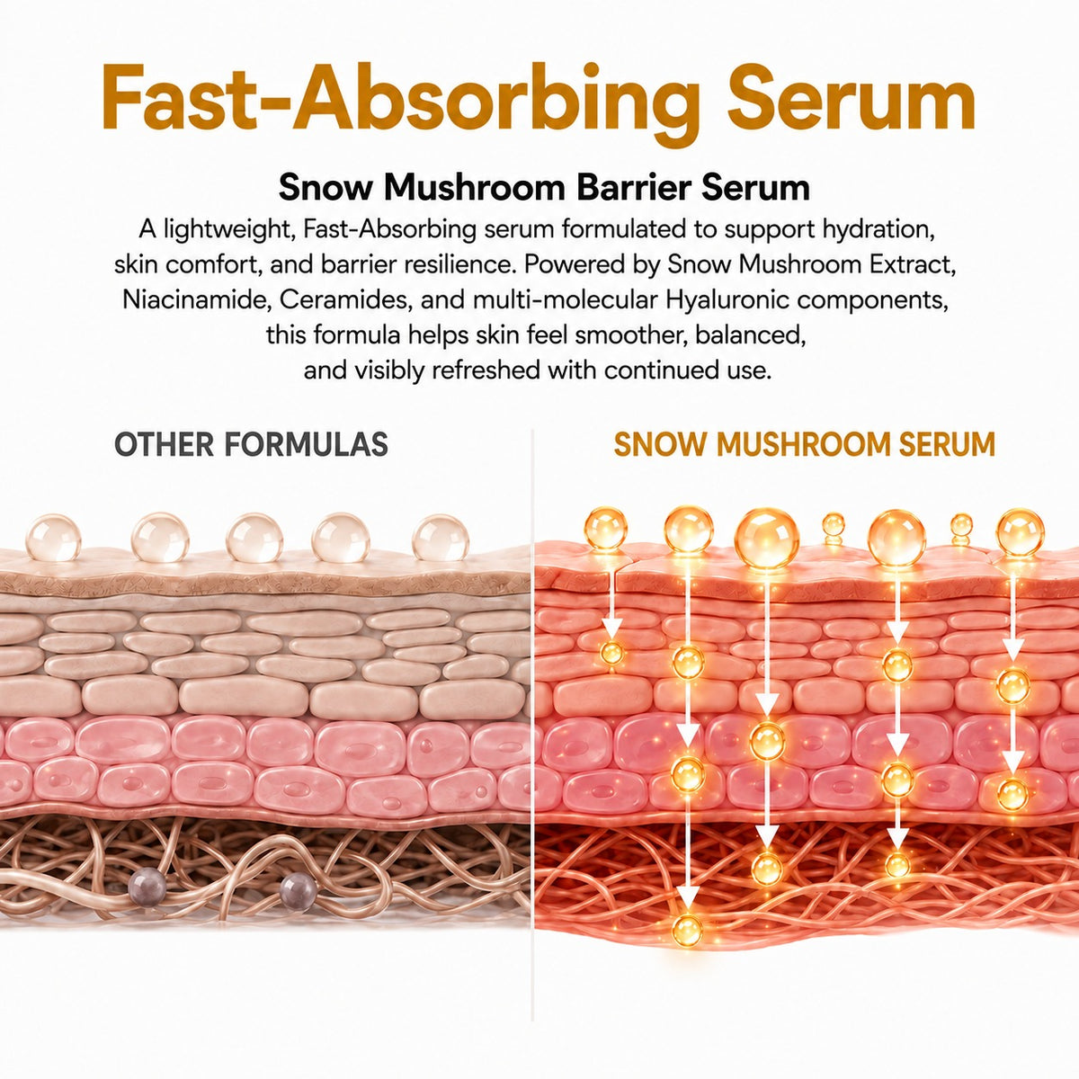 SKIYN Snow Mushroom Hydrating Serum with Ceramides
